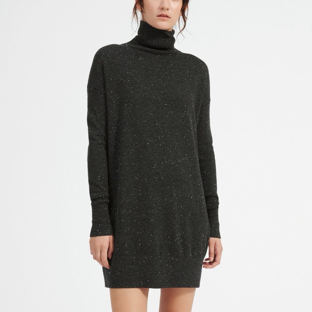 Everlane Turtleneck Sweater Dress